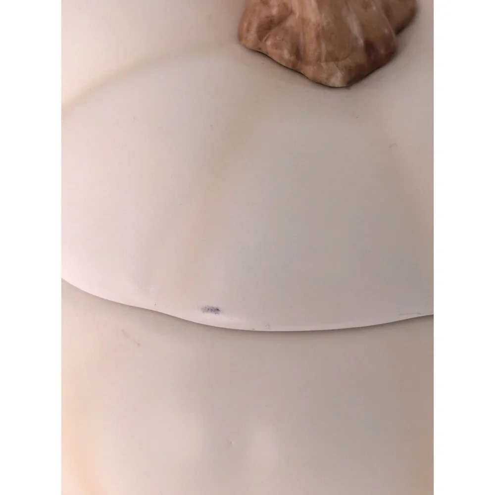 Teleflora Halloween Enchanted Harvest White Pumpkin Ceramic Cookie Jar 7